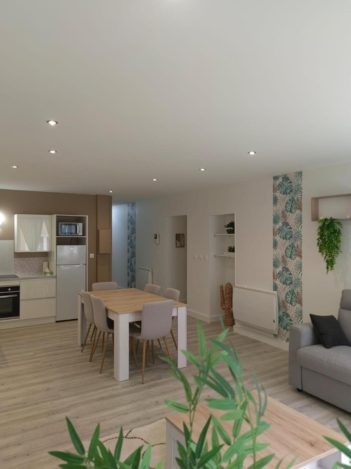 Bel Appartement Bord Du Rhone วาลองซ์ ภายนอก รูปภาพ