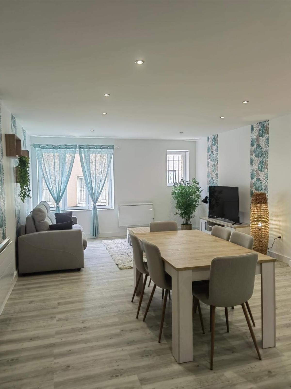 Bel Appartement Bord Du Rhone วาลองซ์ ภายนอก รูปภาพ